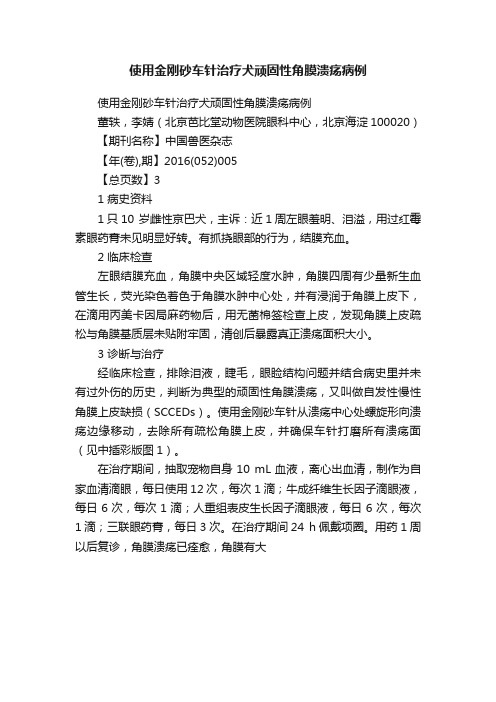 使用金刚砂车针治疗犬顽固性角膜溃疡病例