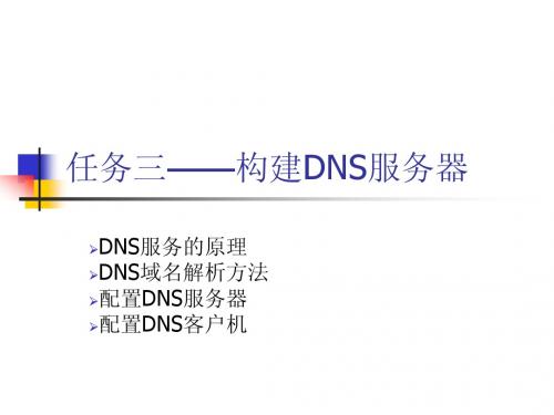 项目二任务三——构建DNS服务器