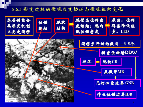 材料科学基础(北京科技大学)80讲