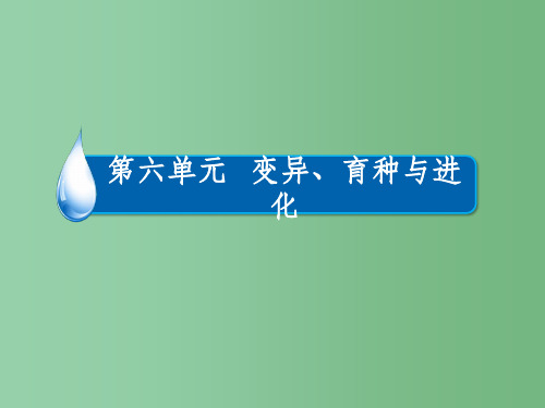 高考生物一轮复习 第六单元 变异、育种与进化 专题15 染色体变异与育种 考点2 变异在育种上的应用