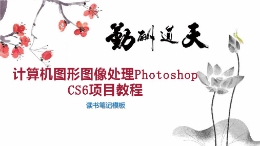 计算机图形图像处理Photoshop CS6项目教程