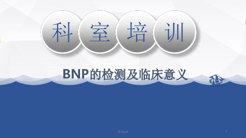 BNP概述检测原理及临床意义