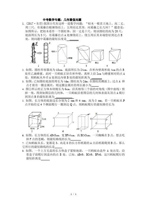 中考数学专题：几何最值问题