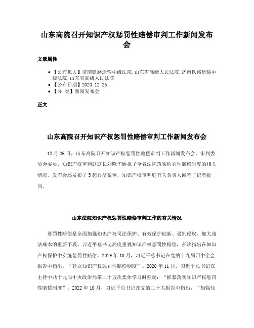 山东高院召开知识产权惩罚性赔偿审判工作新闻发布会