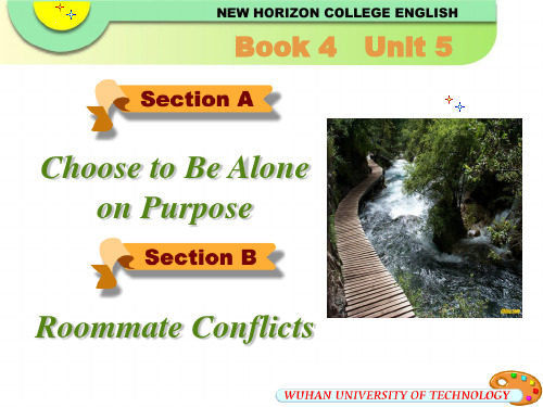 新视野大学英语Book4-5Choose_to_Be_Alone_on_Purpose解析