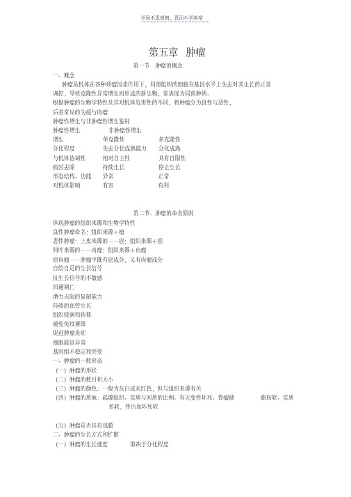 最新第五章肿瘤ppt课件pptConvertor电子教案