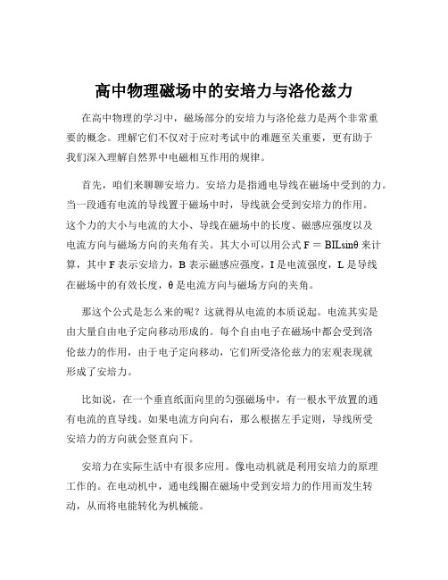 高中物理磁场中的安培力与洛伦兹力