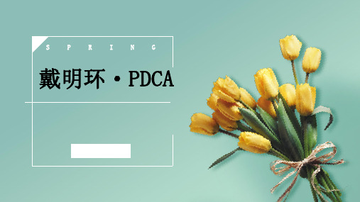 戴明环·PDCA循环图