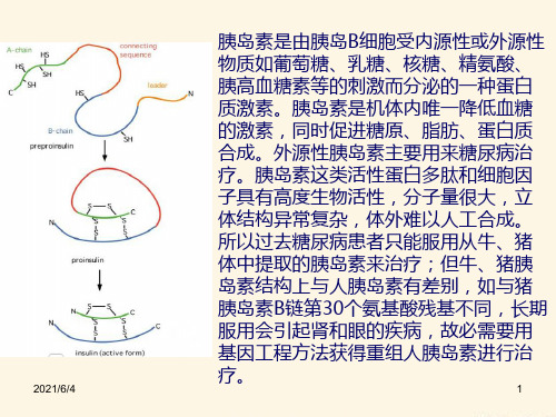 基因工程制胰岛素生工版