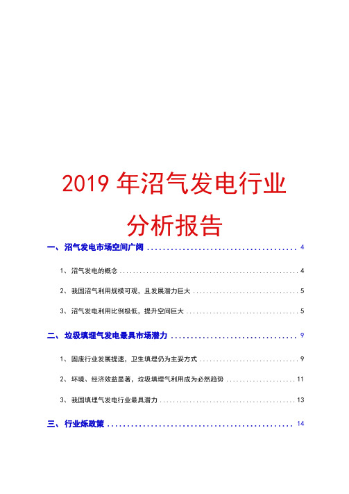 2019年沼气发电行业分析报告