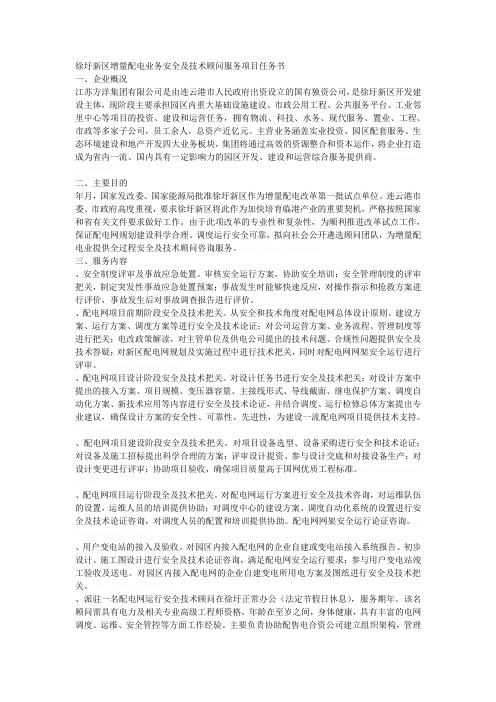 徐圩新区增量配电业务安全及技术顾问服务项目任务书