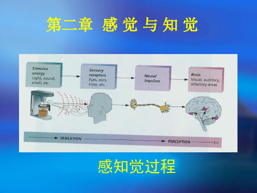 第二章  感知觉PPT课件