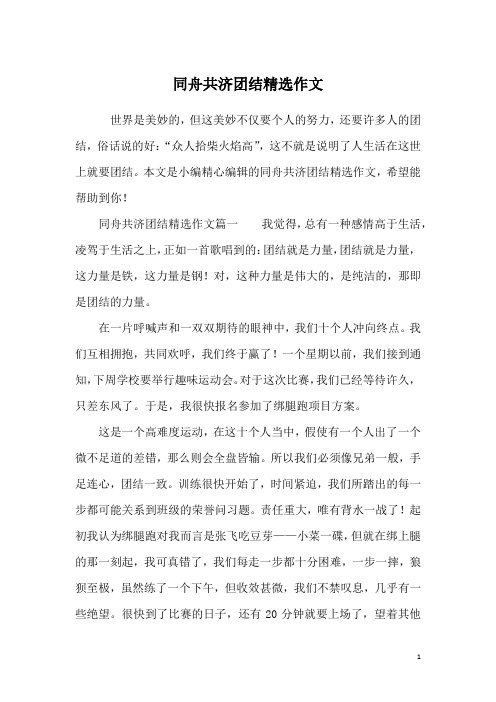 同舟共济团结精选作文