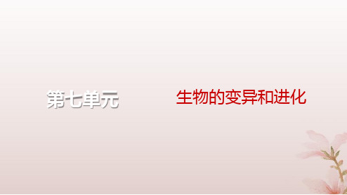 2024届高考生物一轮总复习第七单元生物的变异和进化第21讲生物的进化课件