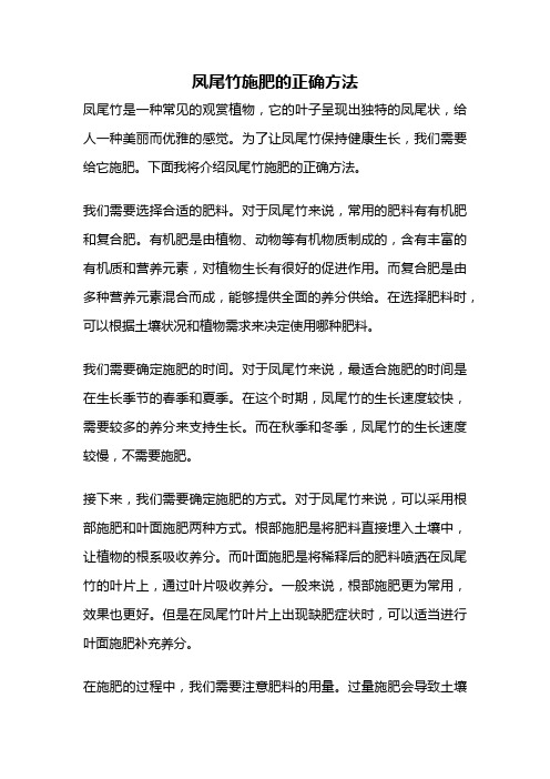 凤尾竹施肥的正确方法