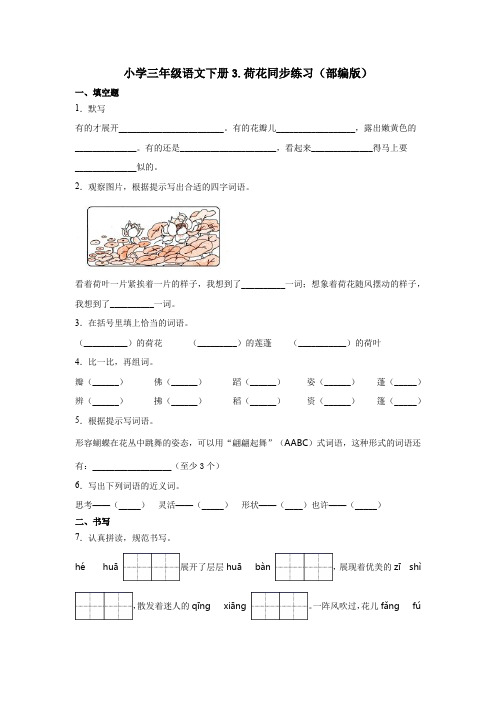 三年级语文下册试题-3.荷花  (含答案)(部编版)