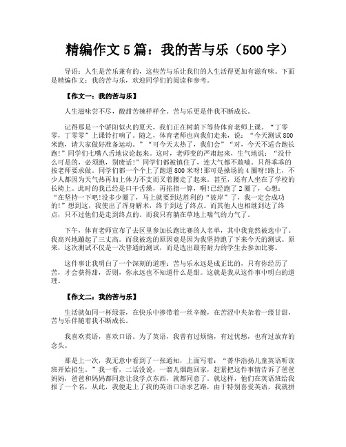 精编作文5篇我的苦与乐(500字)