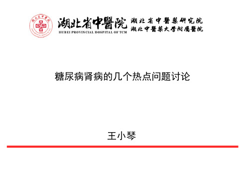 糖尿病肾病热点问题讨论.pptx.1