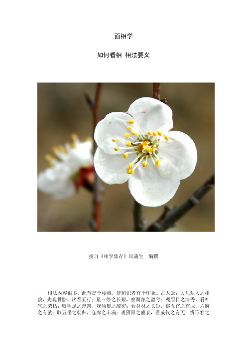 面相学.pdf