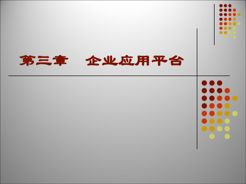 第3章 企业应用平台