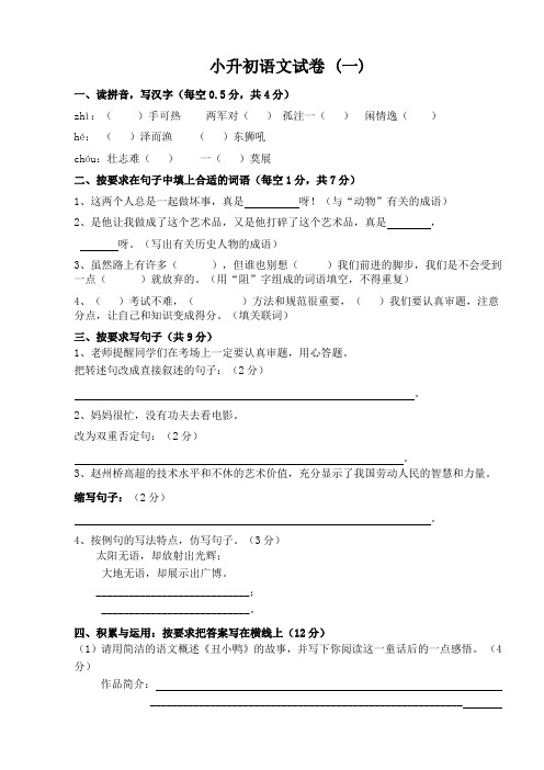 小升初语文试卷及答案(精品多套).doc