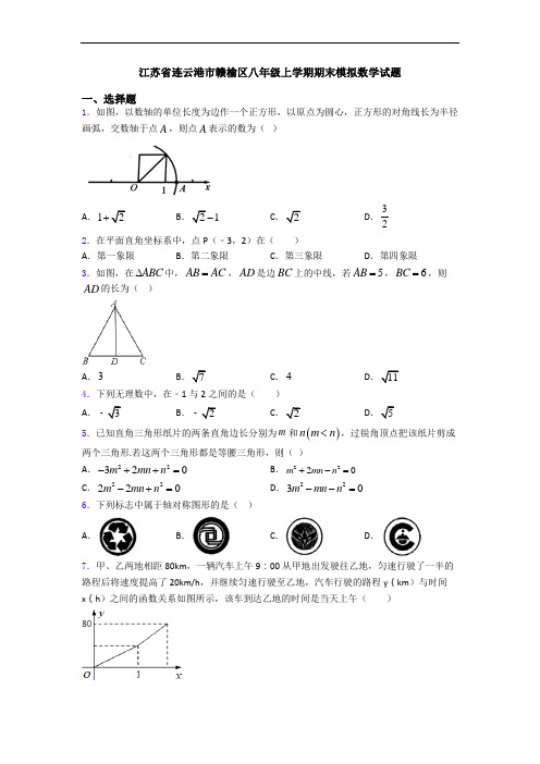 江苏省连云港市赣榆区八年级上学期期末模拟数学试题