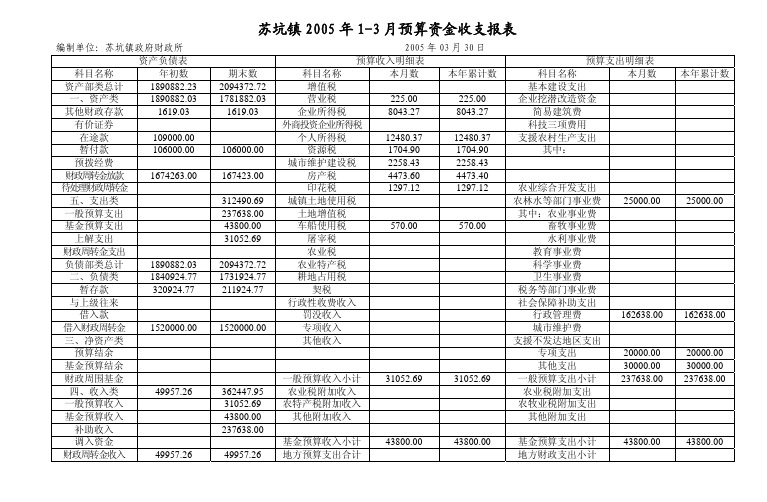 月预算资金收支报表