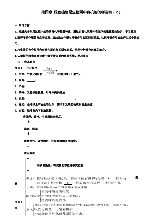 山东省临沂市七年级生物上册3.4绿色植物是生物圈中有机物的制造者学案2