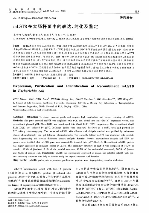 mLST8在大肠杆菌中的表达、纯化及鉴定