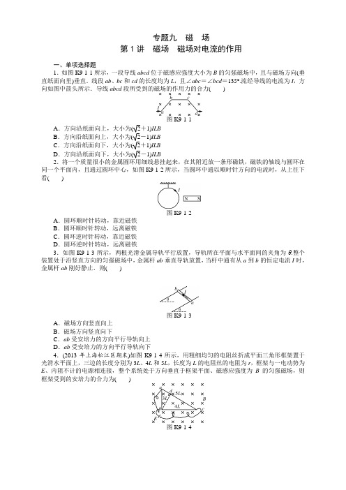 高三物理总复习精品练习：专题9 第1讲 磁场 磁场对电流的作用