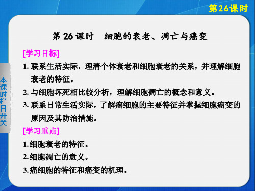 高中生物   人教版必修1细胞的衰老、凋亡与癌变 课件   (31张)