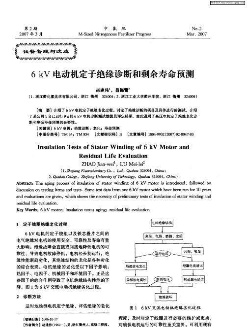 6kV电动机定子绝缘诊断和剩余寿命预测