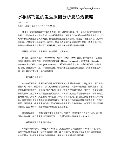 水稻稻飞虱的发生原因分析及防治策略