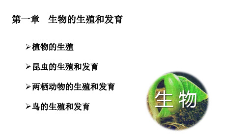 第七单元第一章生物的生殖和发育复习课件2022-2023学年人教版生物八年级下册