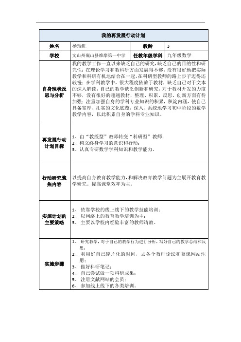 我的再发展行动计划