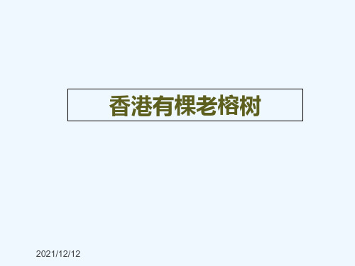 五年级语文上册 第一单元 香港有棵老榕树课件4小学五年级上册语文课件