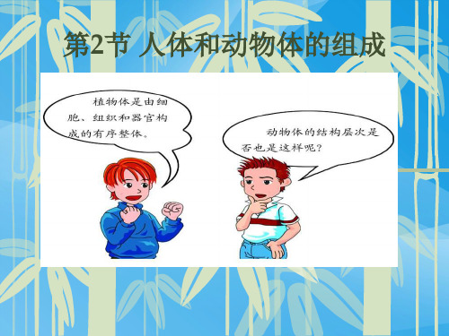 人体和动物体的组成生物课件PPT