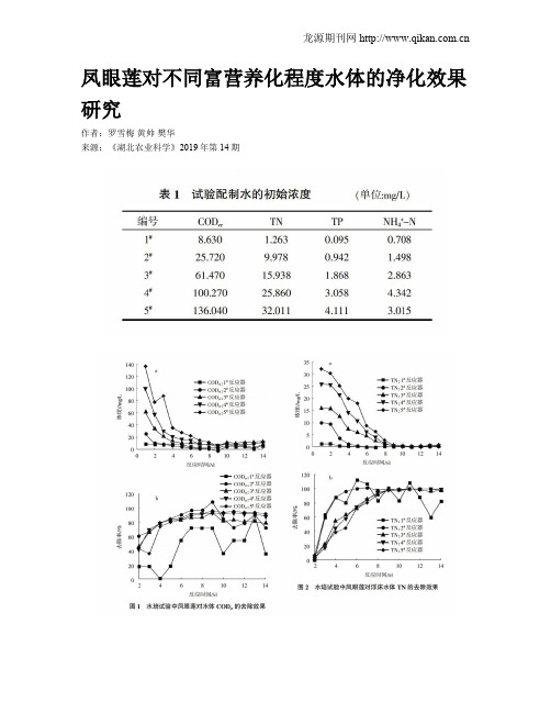 凤眼莲对不同富营养化程度水体的净化效果研究