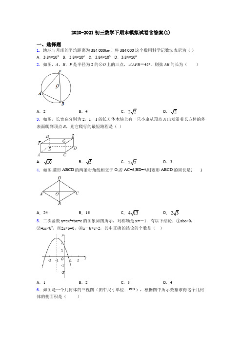 2020-2021初三数学下期末模拟试卷含答案(1)