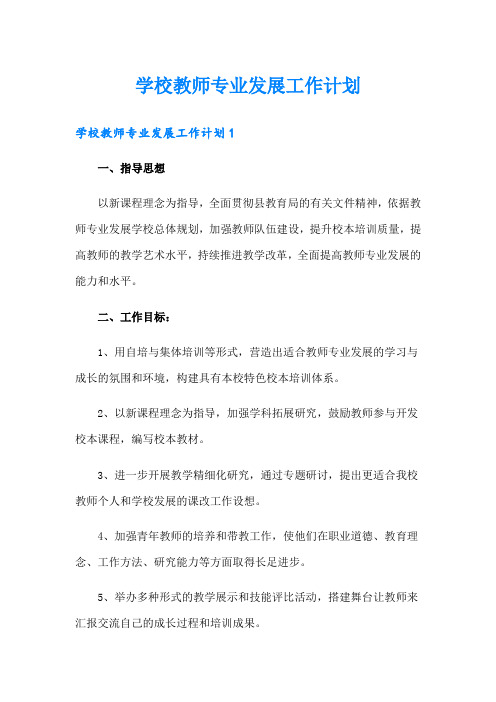 学校教师专业发展工作计划