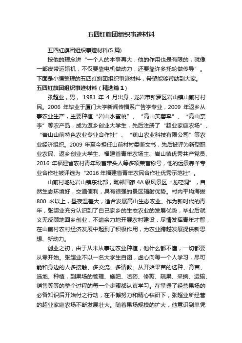 五四红旗团组织事迹材料