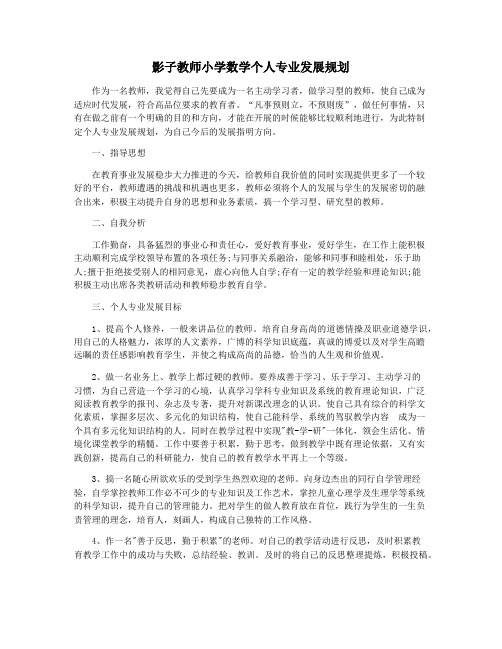 影子教师小学数学个人专业发展规划