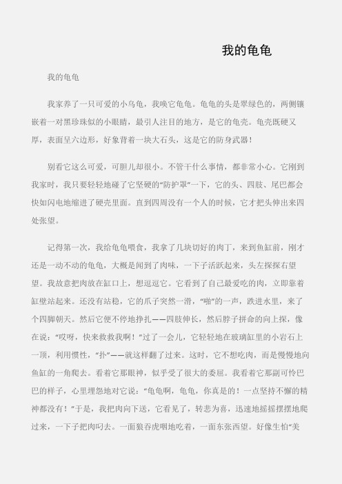 (初中说明文)我的龟龟