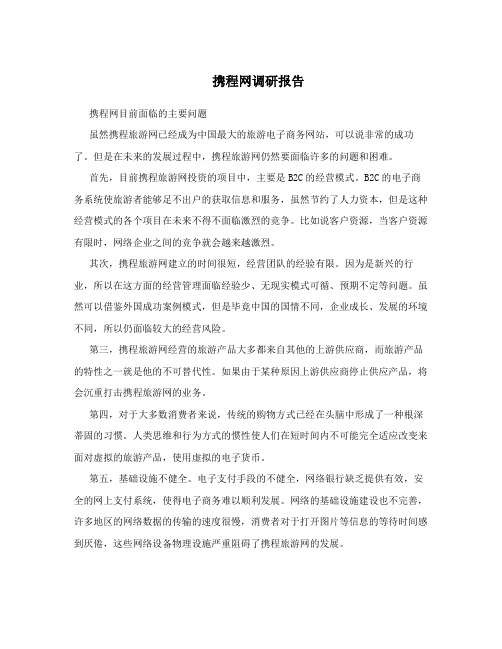 携程网调研报告