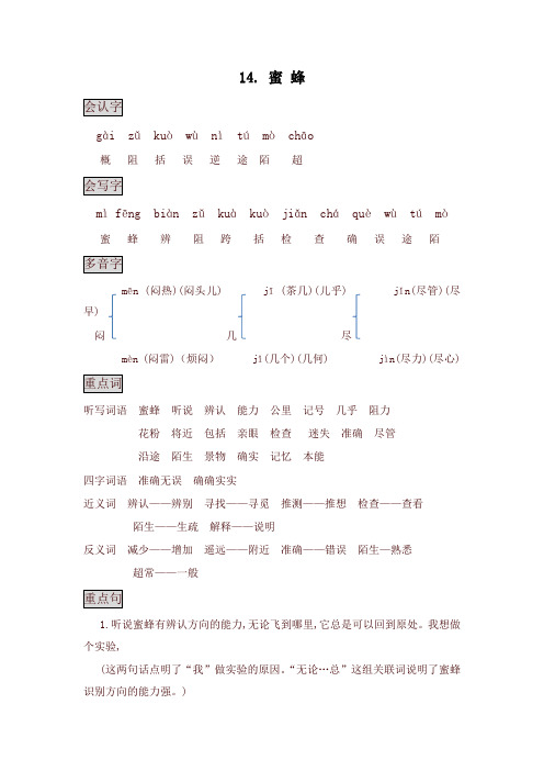 2020年新版人教部编版三年级语文下册14. 蜜蜂  知识点总结课堂笔记 