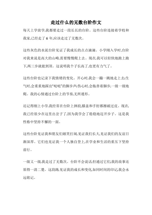 走过什么的无数台阶作文