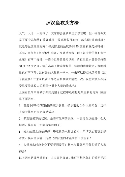 罗汉鱼攻头方法