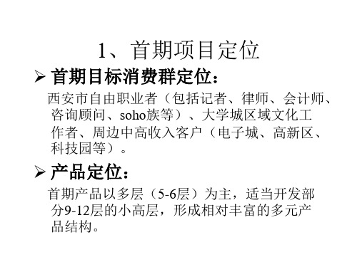 王志刚策划案锦集某汽车新城项目策划报告