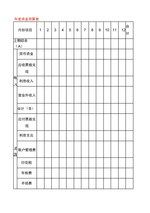 年度资金预算表