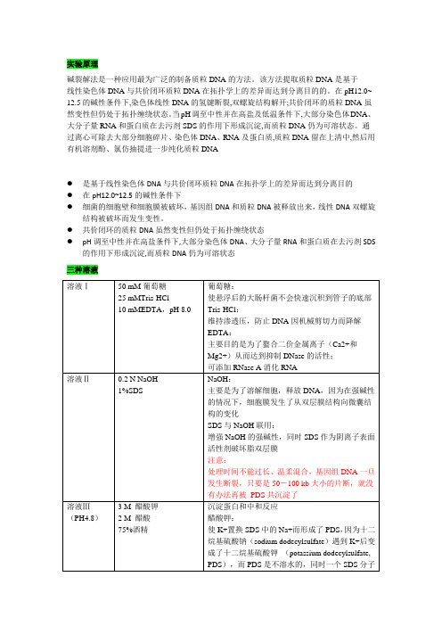 碱裂解法原理及步骤总结